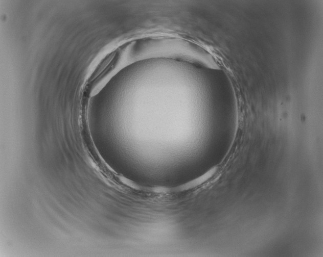 X0000052930056200507221132