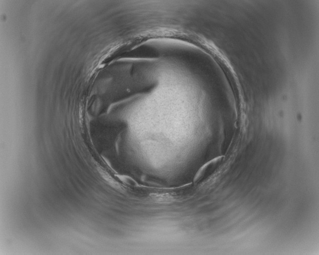 X0000052930057200507221132