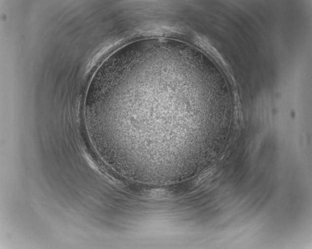 X0000052930058200507221132