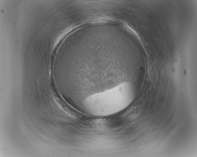 X0000052930059200507221132