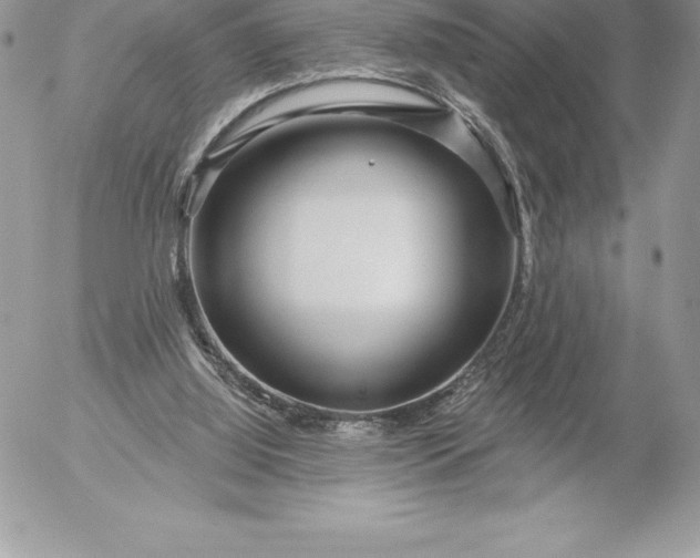 X0000052930060200507221132