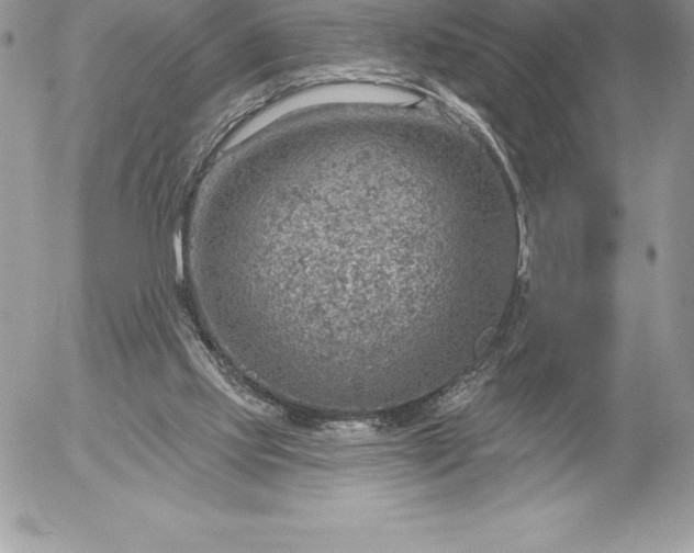 X0000052930061200507221132