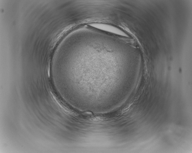 X0000052930062200507221132