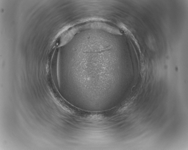 X0000052930063200507221132