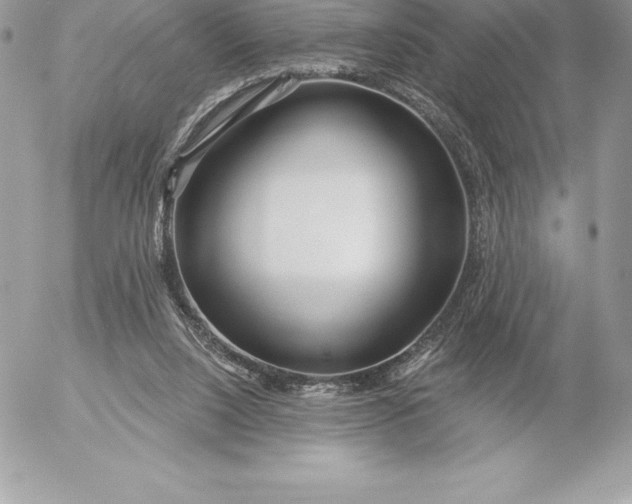 X0000052930064200507221132