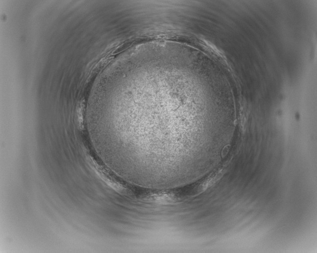 X0000052930065200507221132