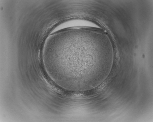 X0000052930066200507221132