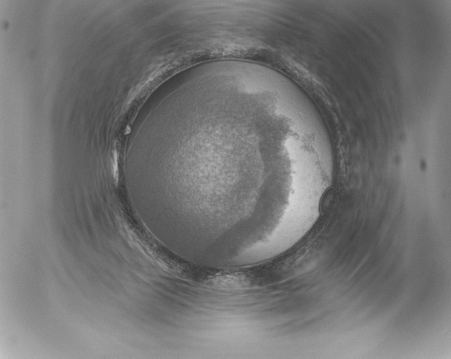 X0000052930067200507221132