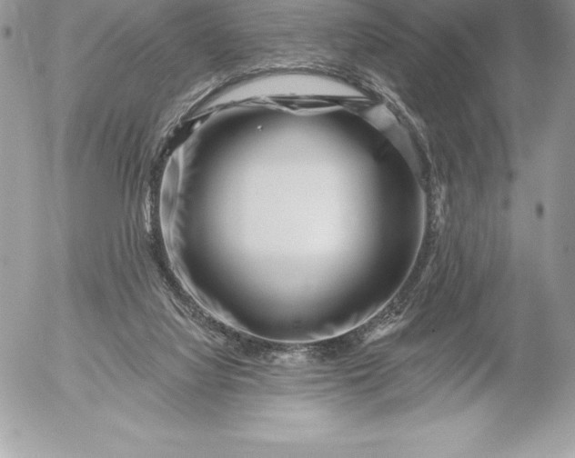 X0000052930068200507221132