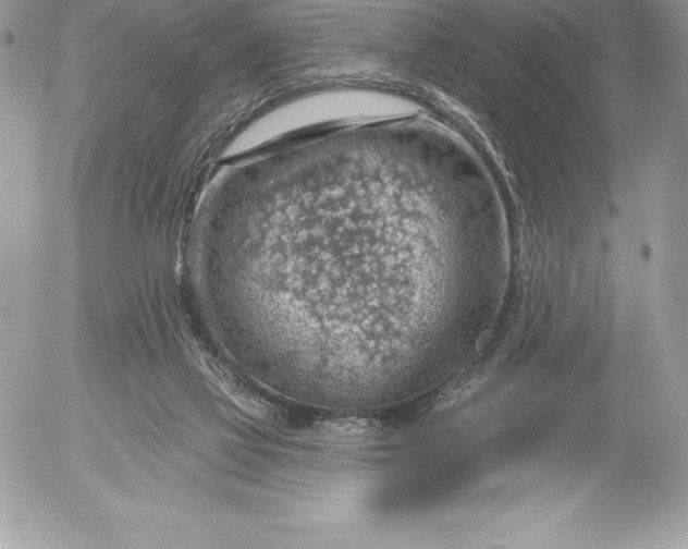 X0000052930069200507221132