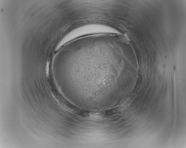 X0000052930070200507221132