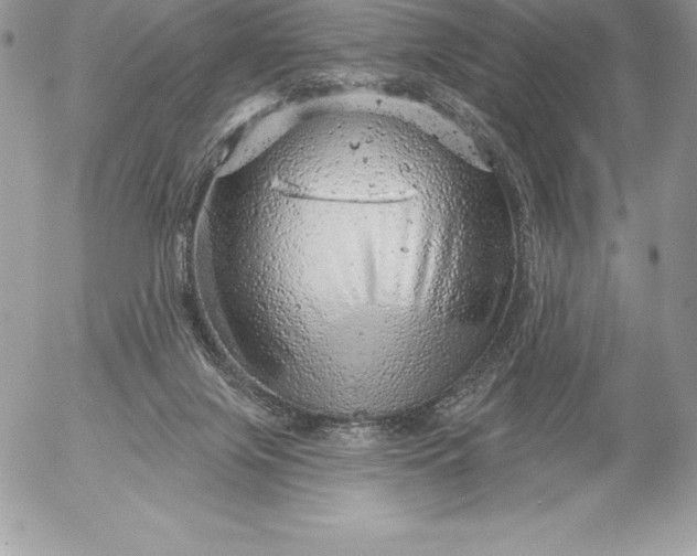 X0000052930071200507221132