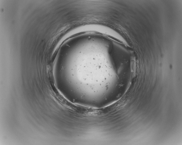 X0000052930072200507221132