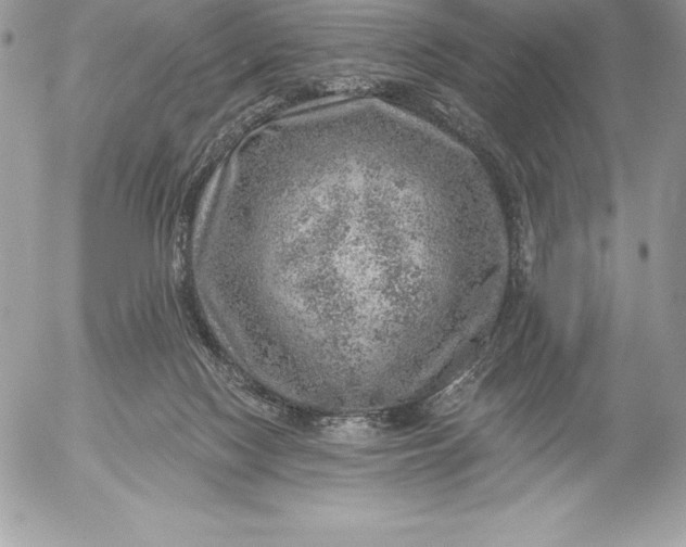 X0000052930074200507221132