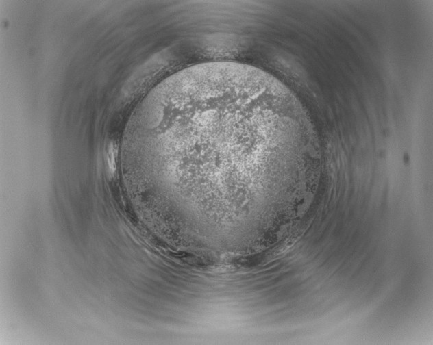 X0000052930075200507221132