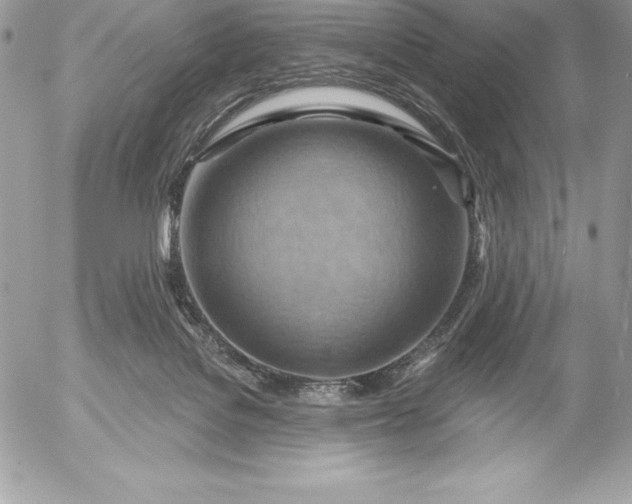 X0000052930076200507221132