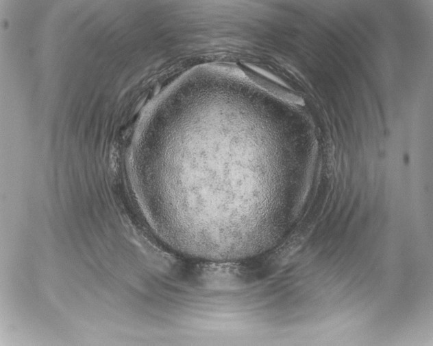 X0000052930077200507221132