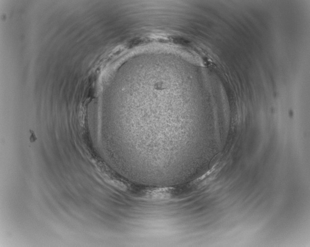 X0000052930078200507221132