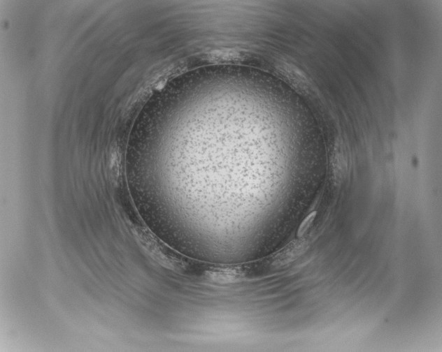 X0000052930079200507221132