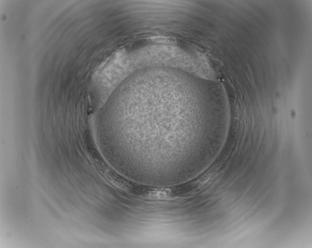 X0000052930080200507221132