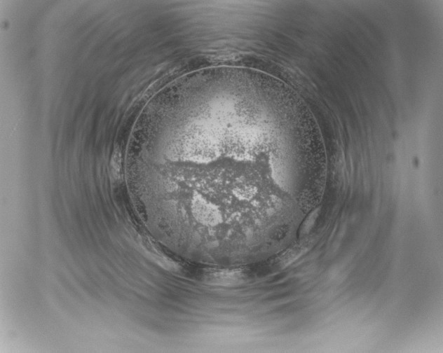 X0000052930081200507221132