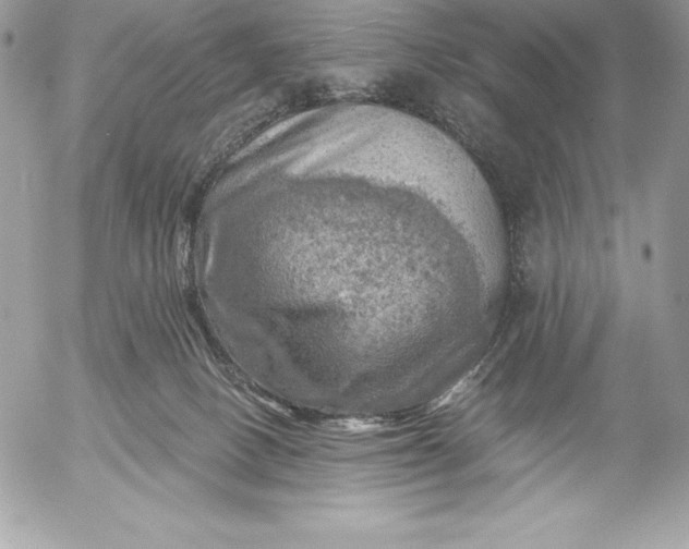 X0000052930082200507221132