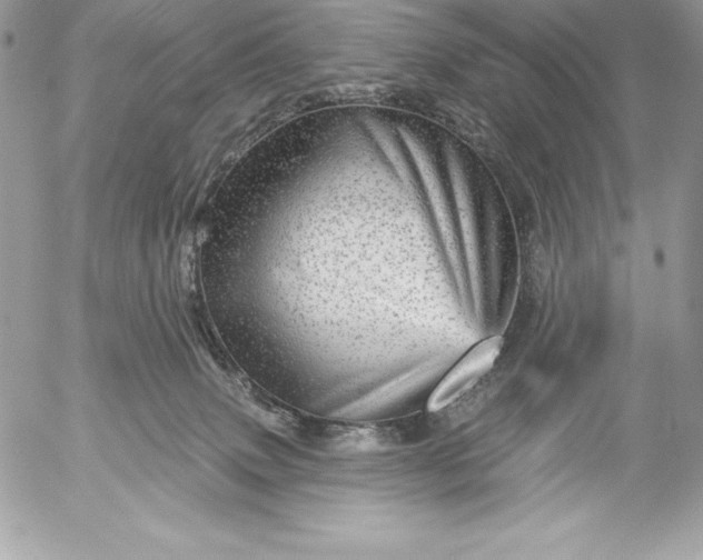 X0000052930083200507221132