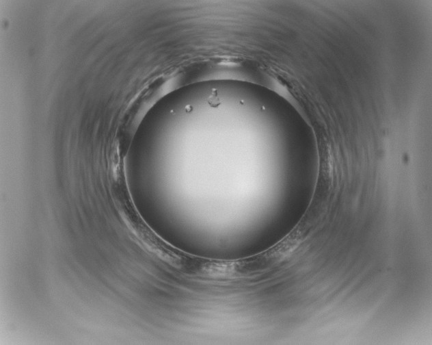 X0000052930084200507221132