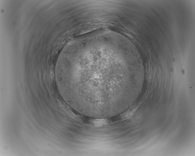 X0000052930085200507221132