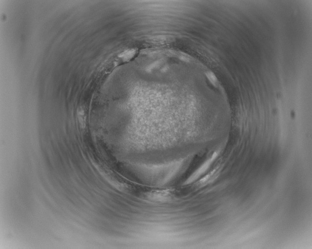 X0000052930086200507221132