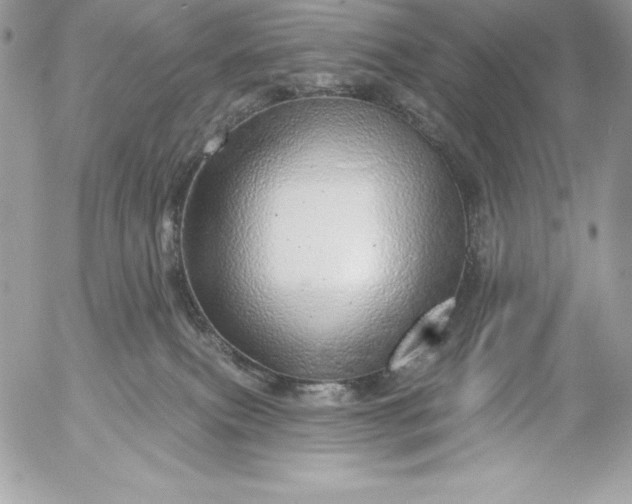 X0000052930087200507221132