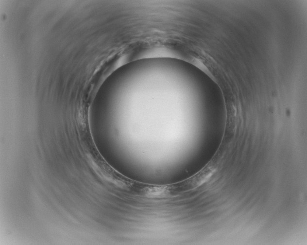 X0000052930088200507221132