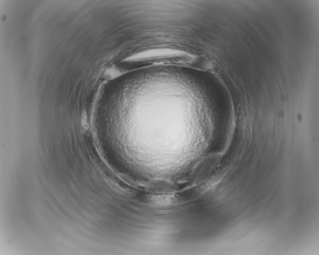 X0000052930089200507221132