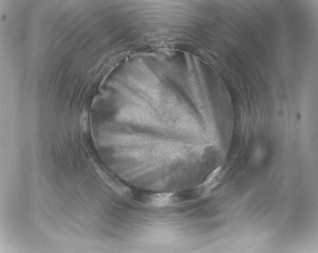 X0000052930090200507221132