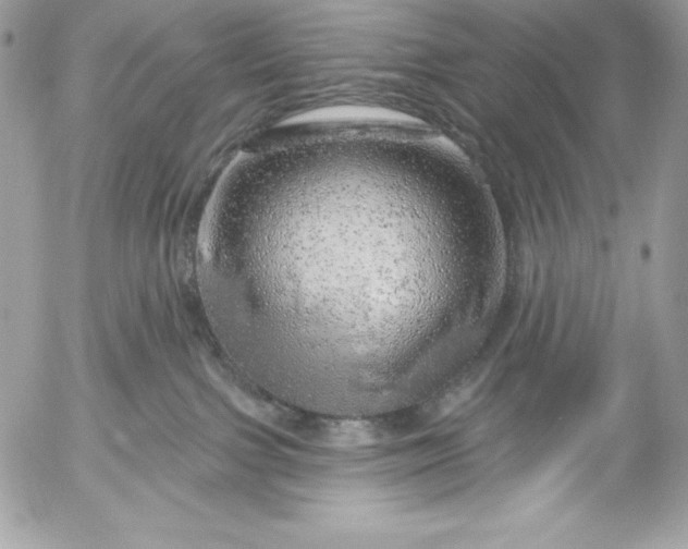 X0000052930091200507221132