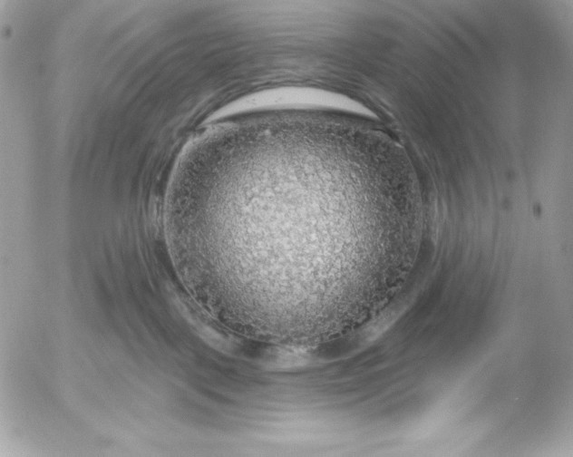 X0000052930093200507221132