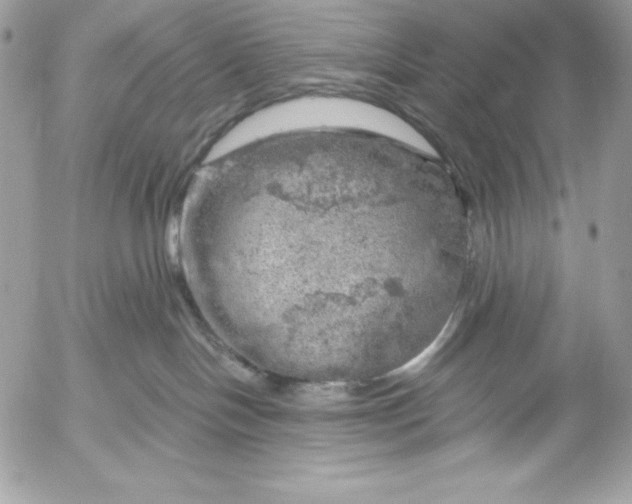 X0000052930094200507221132