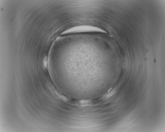 X0000052930095200507221132