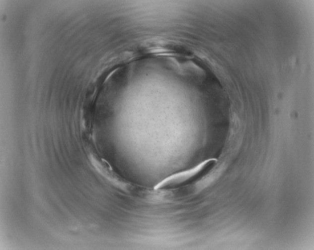 X0000052930096200507221132