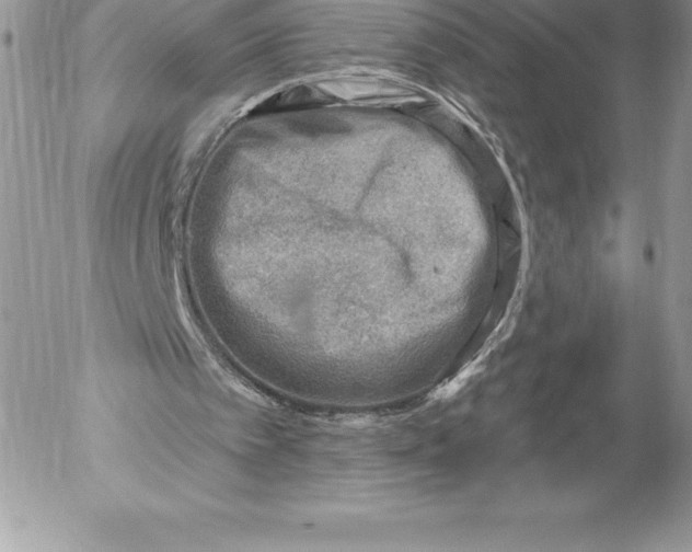 X0000052930097200507221131