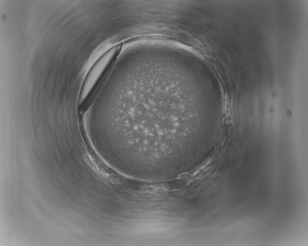 X0000052930099200507221131