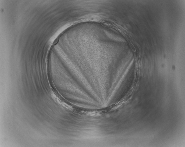 X0000052930100200507221131