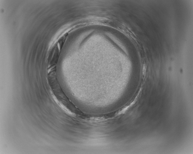 X0000052930101200507221131