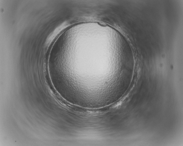 X0000052930103200507221131