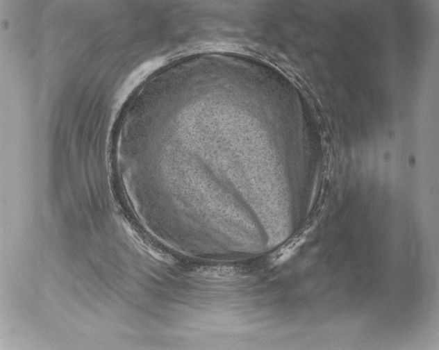 X0000052930104200507221131