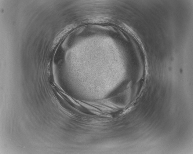 X0000052930105200507221131