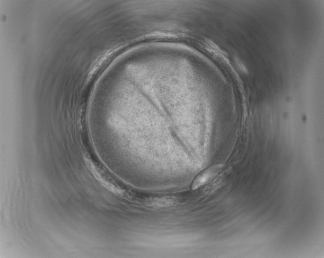 X0000052930106200507221131