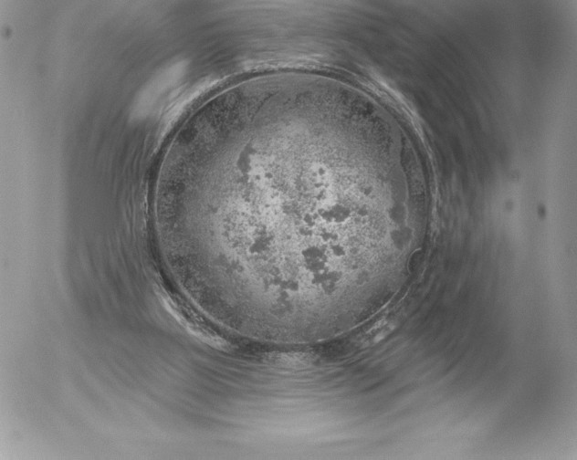 X0000052930107200507221131