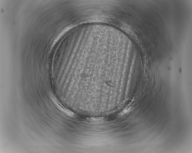 X0000052930108200507221131