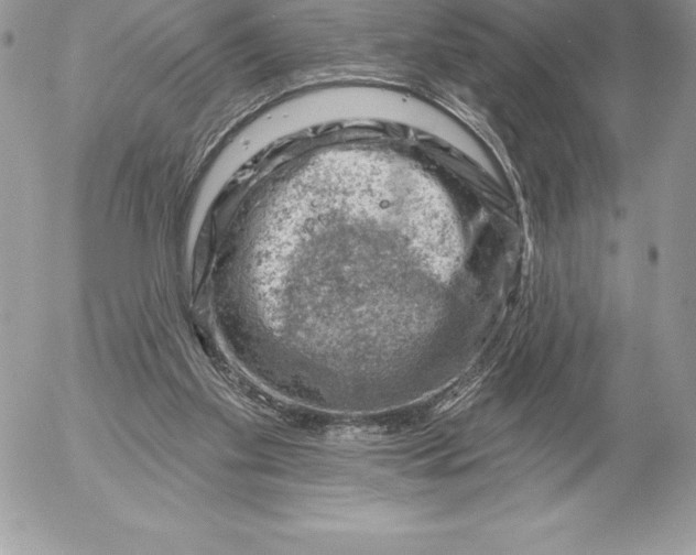 X0000052930109200507221131